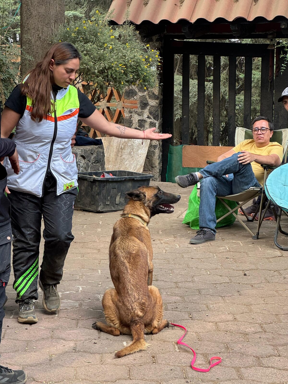 Certificación en Adiestramiento Canino EC0058