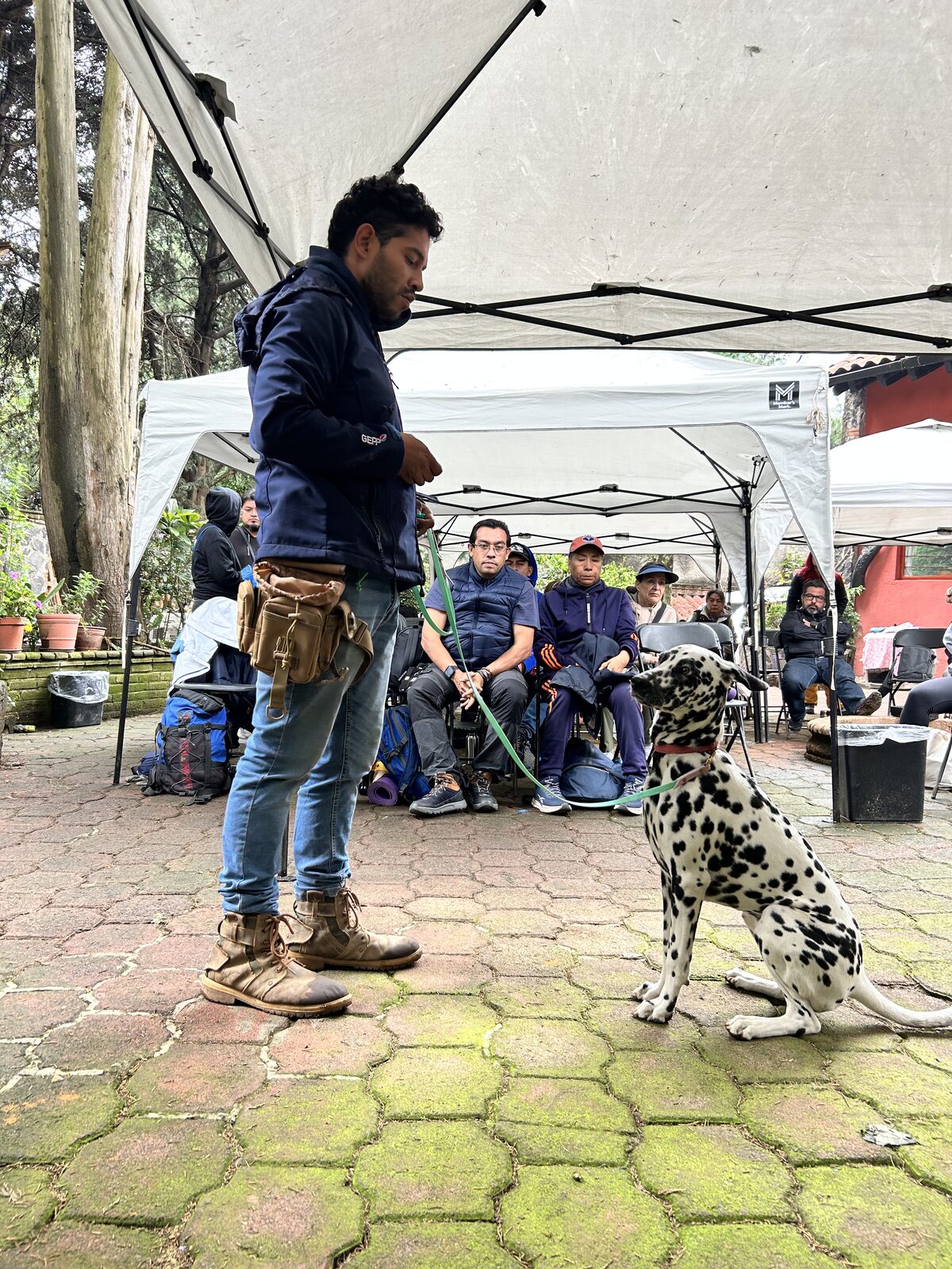 Certificación en Adiestramiento Canino EC0058