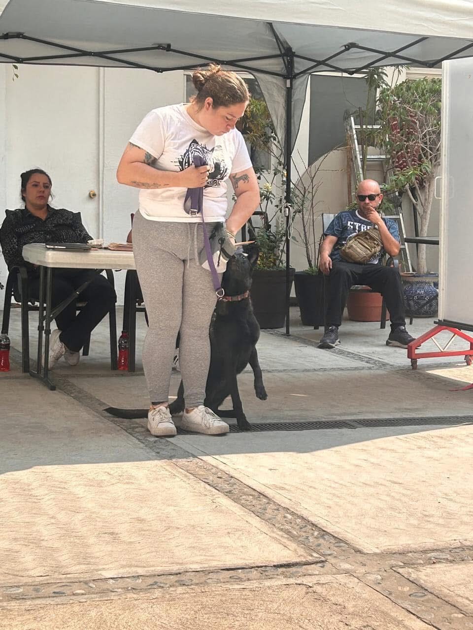 Certificación en Adiestramiento Canino EC0058