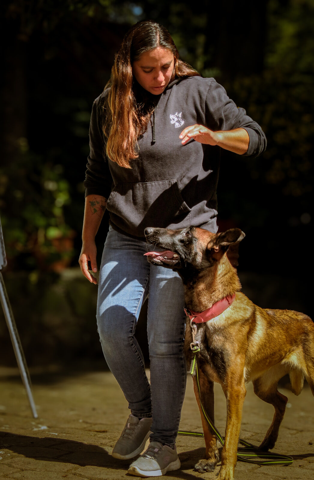 Manejo Etológico Integral del Perro