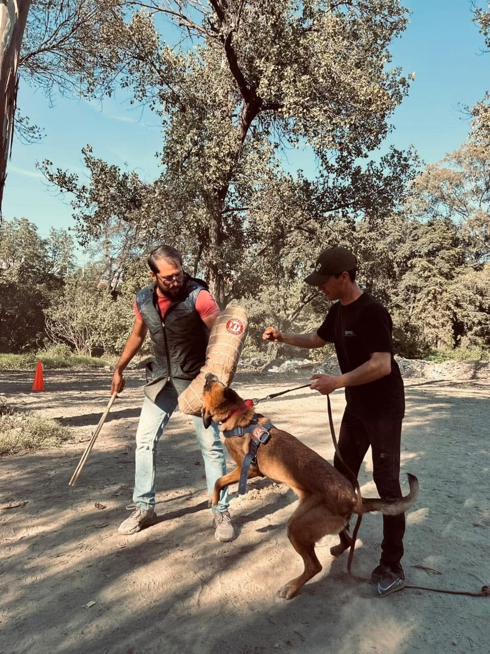 Manejo Etológico Integral del Perro
