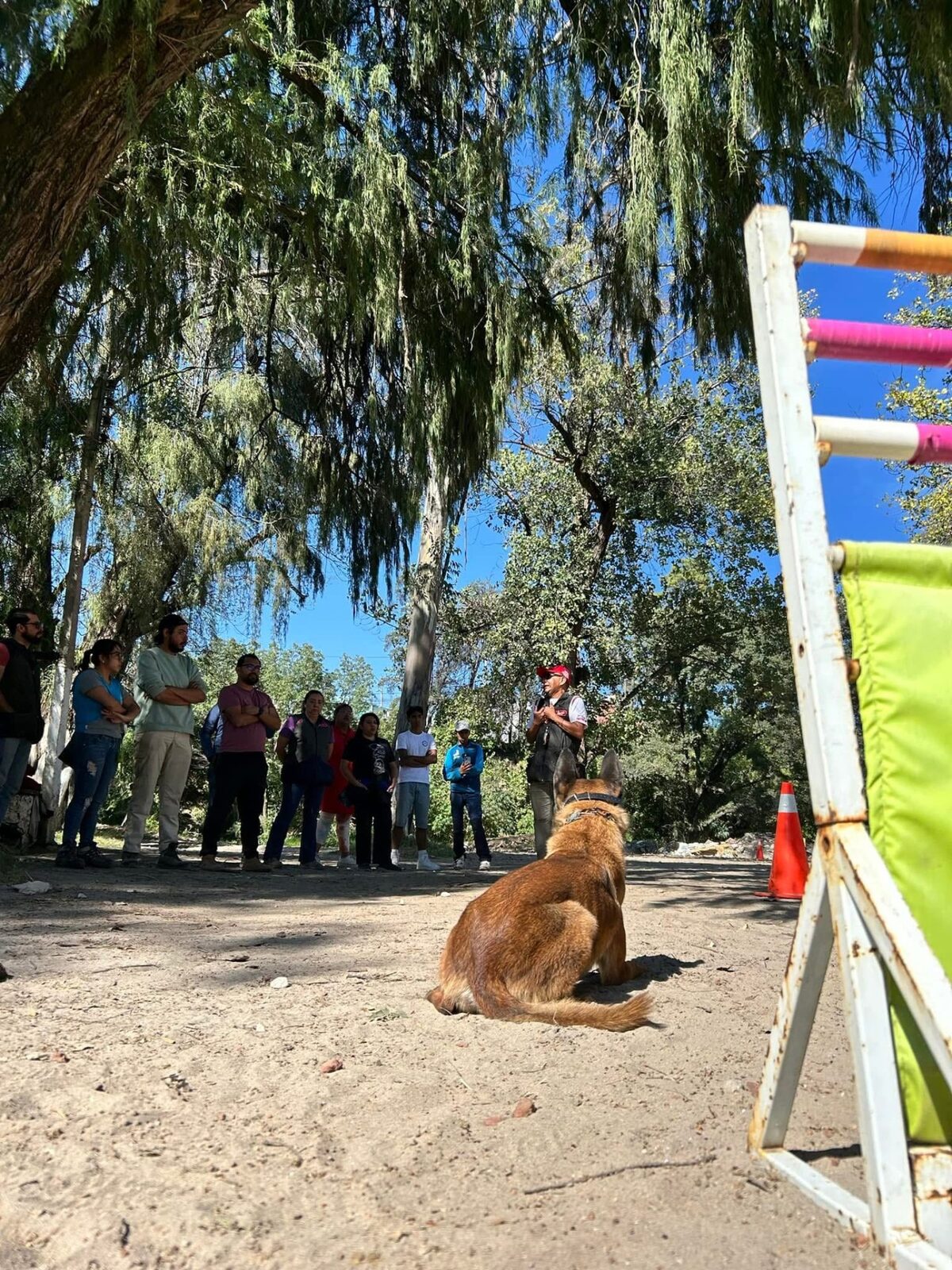 Manejo Etológico Integral del Perro