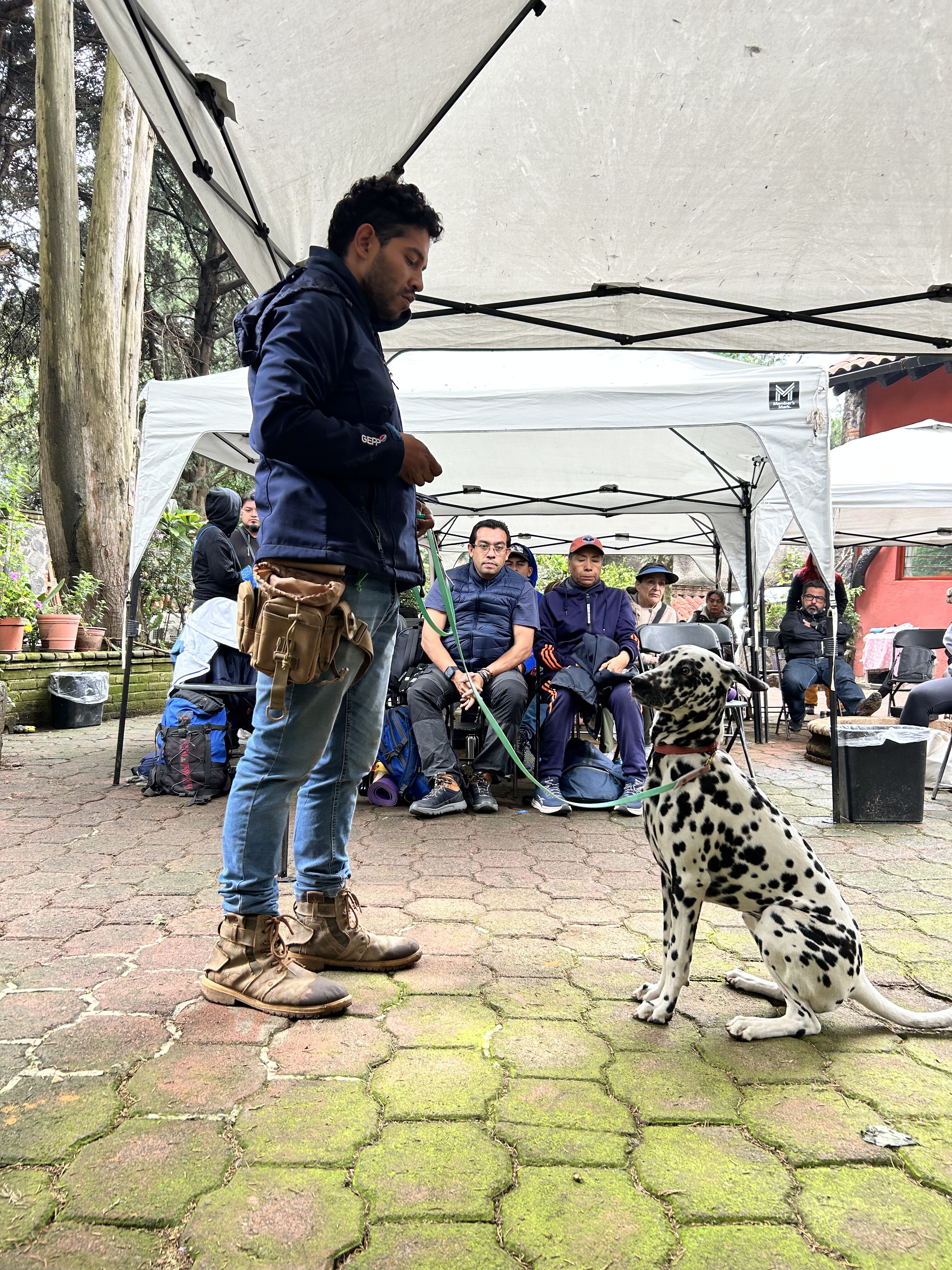 Trabajo de campo con perros en INEEC México