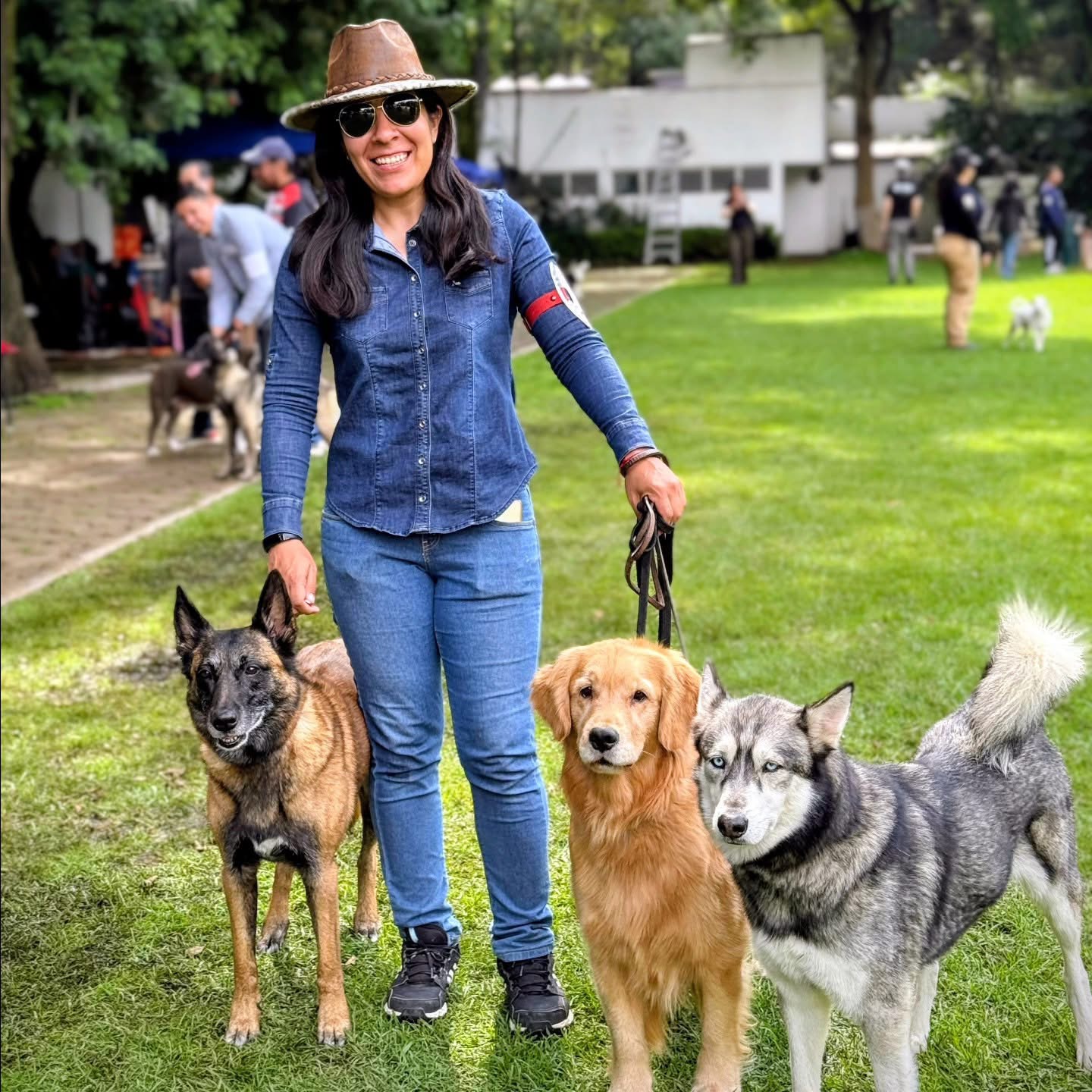 Adiestradora con varios perros: malinois, golden retriever y husky