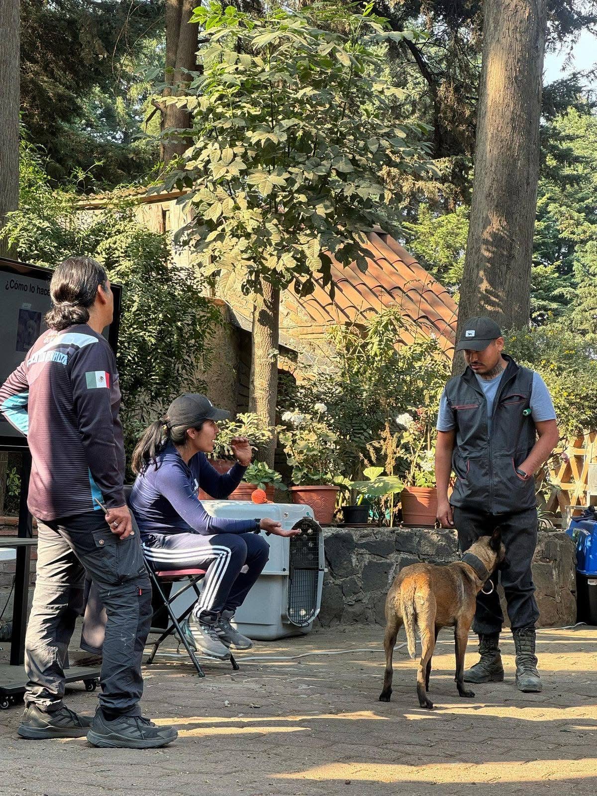 Sesión de manejo etológico con perro en transportadora
