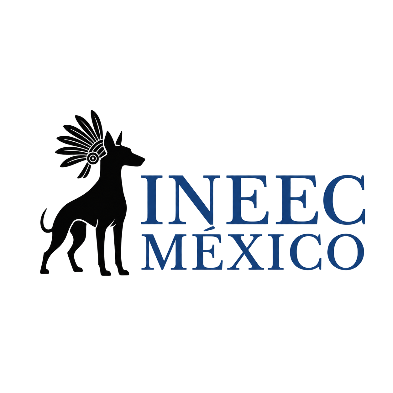 Logotipo oficial de INEEC México